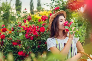 Flower Garden